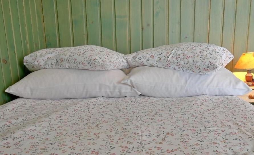 Willa Anna Zakopane Kamer foto